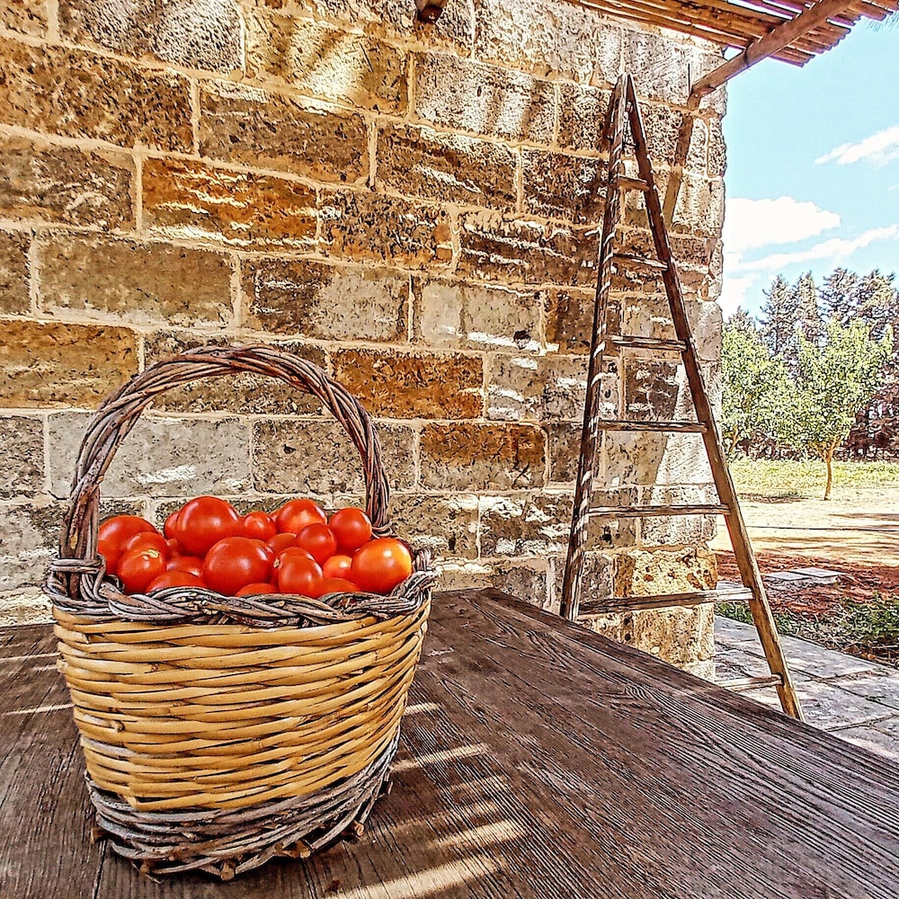 masseria fracchicchi