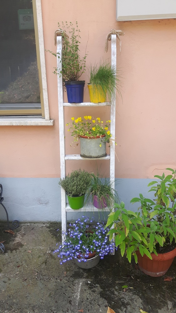 bandb scacco matto