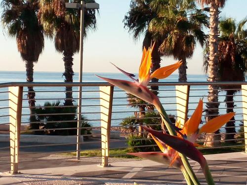 residence stendhal guest house