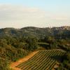 relais casamassima