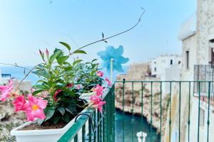 posea polignano sea suites