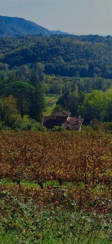 tenuta valdomini