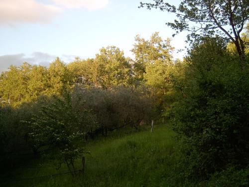 agriturismo le cammarose