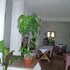 agriturismo le cammarose