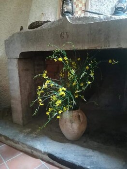 agriturismo le cammarose