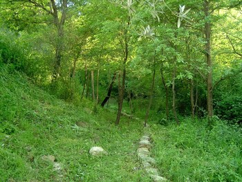 agriturismo le cammarose