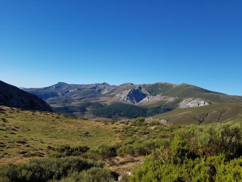 the templars guesthouse