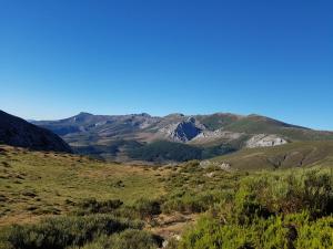 the templars guesthouse