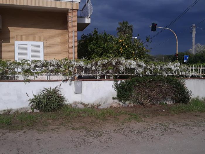 terracina
