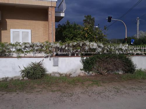 terracina