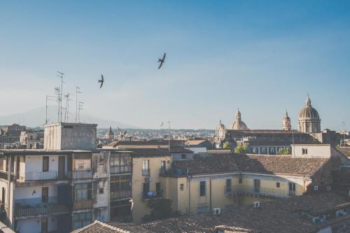 catania