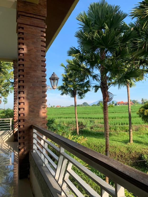 north wing canggu resort