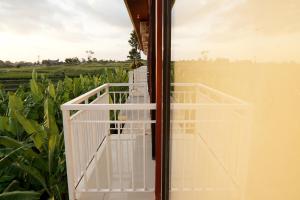 north wing canggu resort