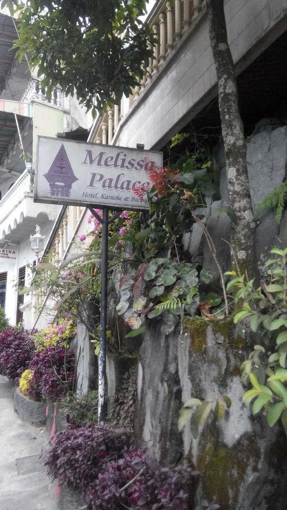 melissa palace