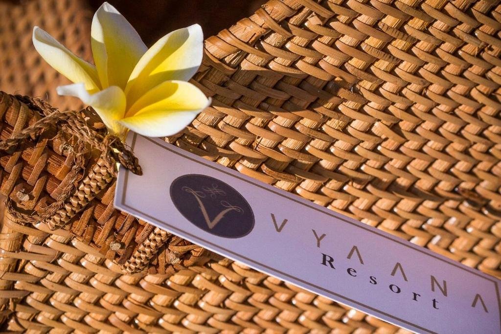 vyaana gili air