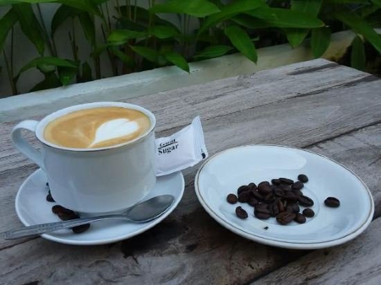 the dream home villas