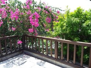 the dream home villas