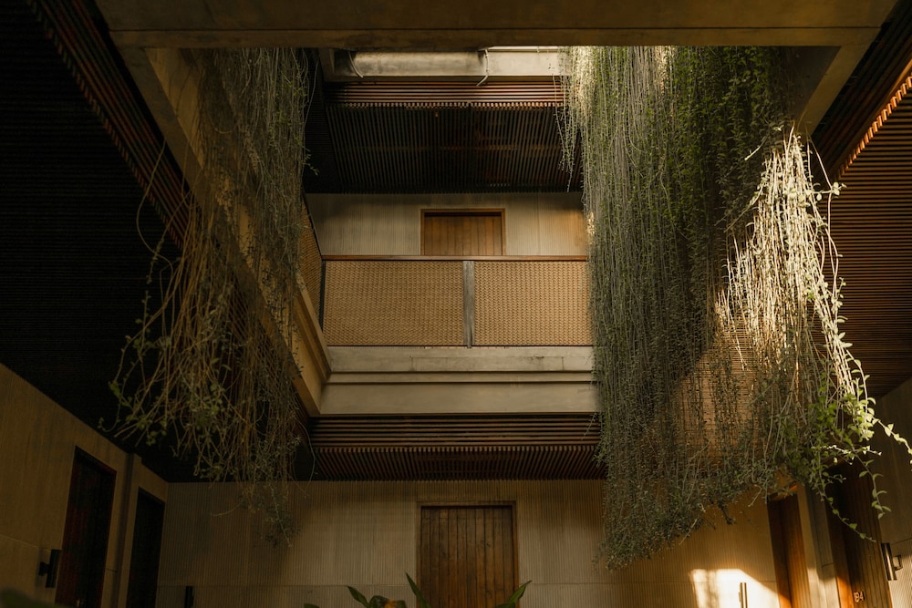 artotel haniman ubud