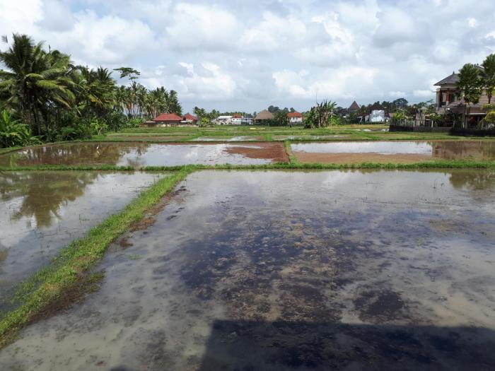 villa kirani ubud chse certified