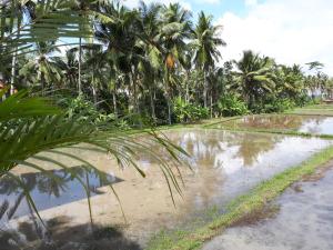 villa kirani ubud chse certified