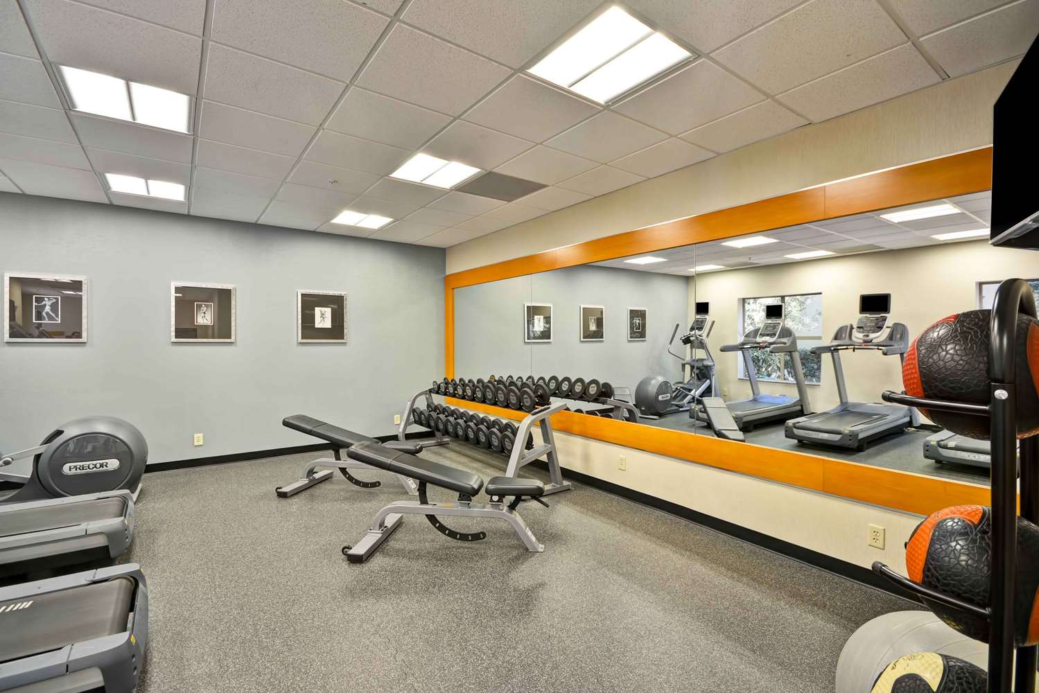 homewood suites by hilton dallas frisco
