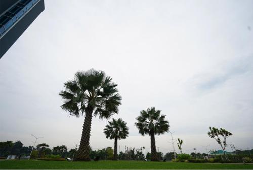 the lively hotel kualanamu airport medan