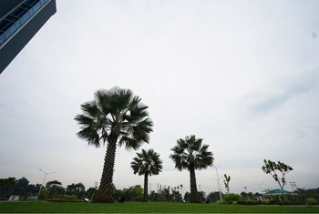 the lively hotel kualanamu airport medan