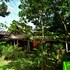 palangkaraya