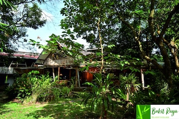 palangkaraya