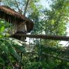 palangkaraya