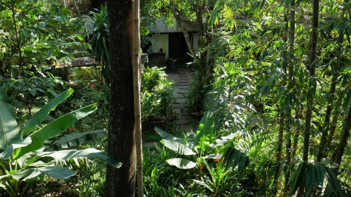 palangkaraya