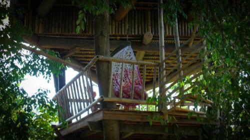 palangkaraya