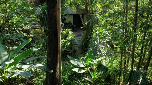 palangkaraya