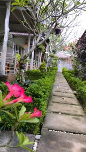 angels bungalow nusa penida