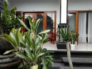 the wina echo beach guesthouse