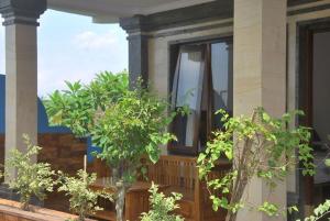 bulan bali homestay