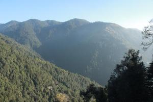 ss international hotel and spa