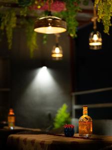 the gulmohar mansion boutique stay in jaipur
