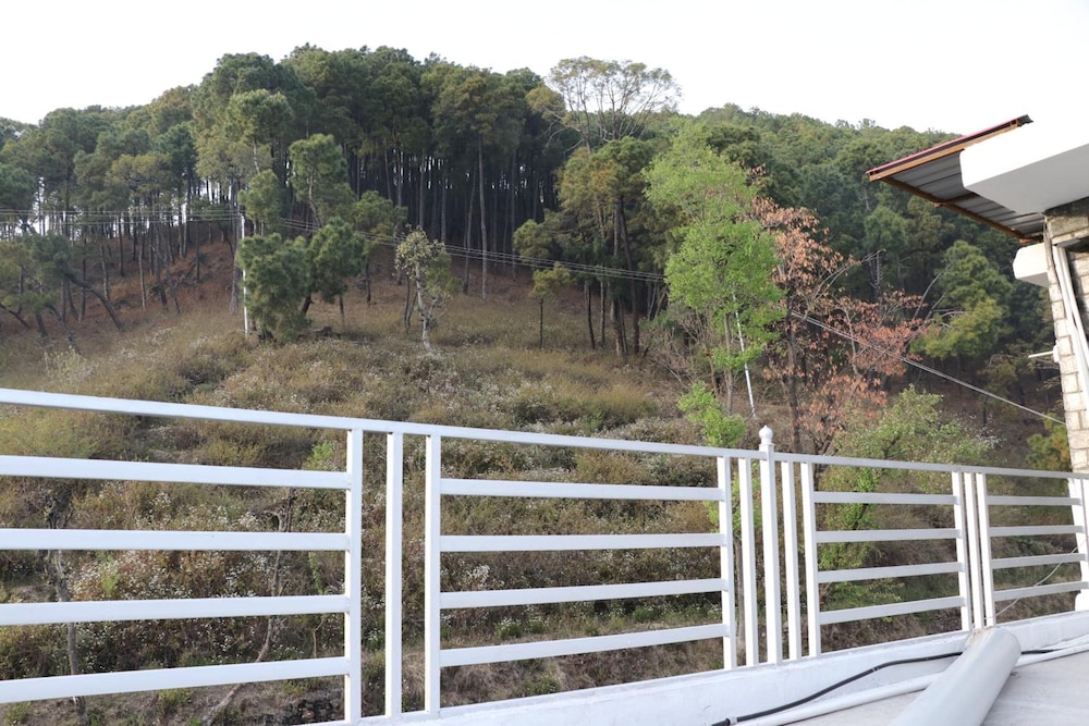 hotel ashiana palampur