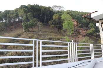 hotel ashiana palampur