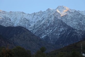 hotel ashiana palampur