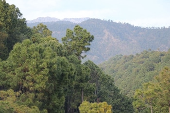 hotel ashiana palampur