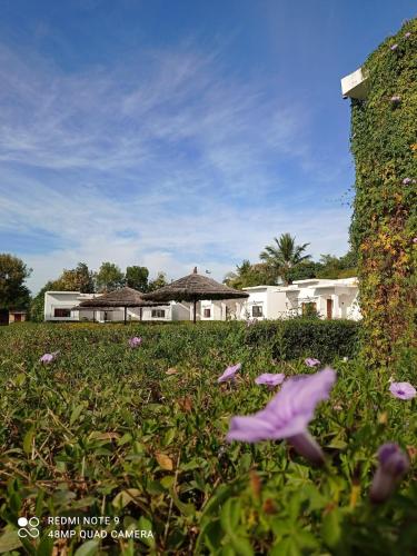 haveli ashram and resort