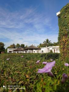 haveli ashram and resort
