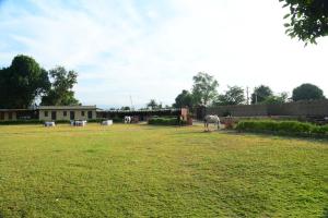 haveli ashram and resort