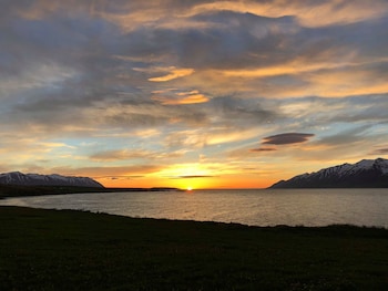 ytri vik