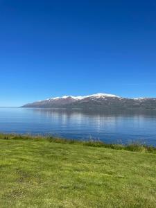 ytri vik