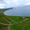 dalvik