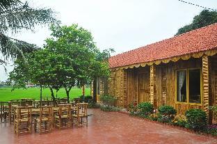 hoa lu