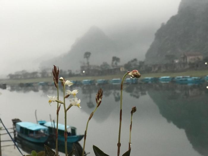 phong nha coco house